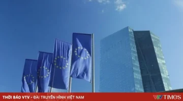 تحذير أوروبي.. تأخر إطلاق اليورو الرقمي يضع اقتصاد القارة في خطر محتمل